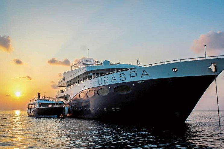 Scubaspa Yin & Scubaspa Yang