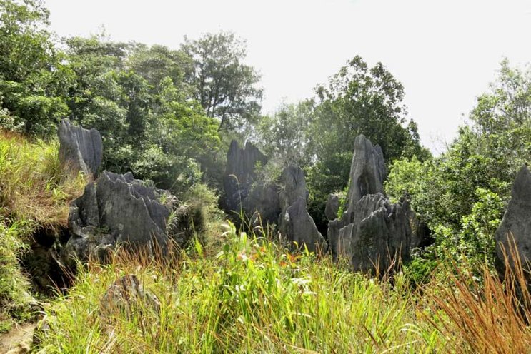 Dive & Culture - Goroka